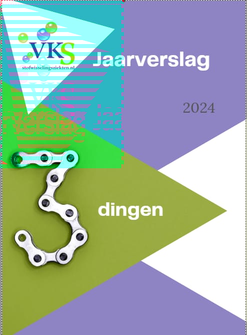 Jaarverslag 2024